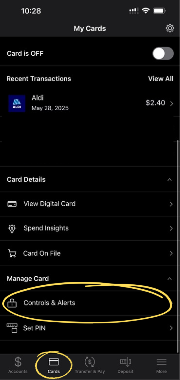 Card Controls Screenshot