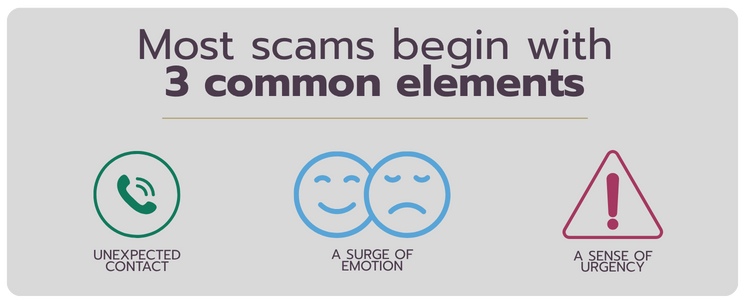 3 common Fraud elements